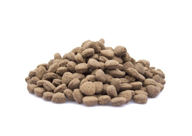 Super Premium Chicken & Rice Hond - 4 kg