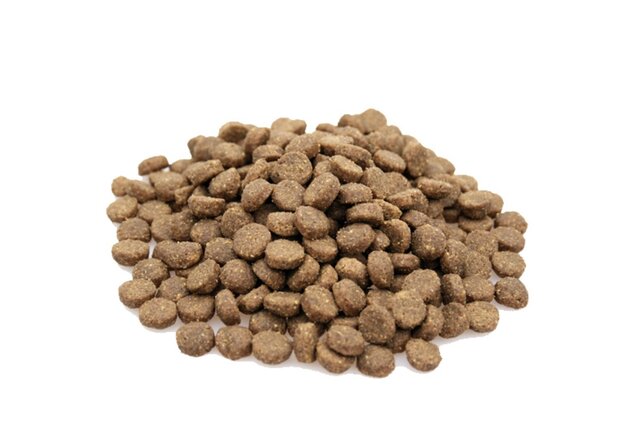 Premium Puppy Large Breed - 10 kg