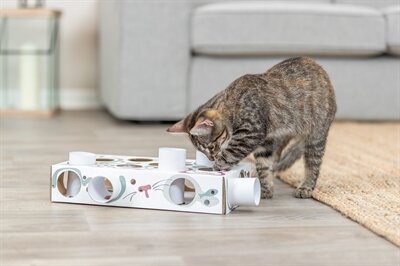 Trixie Cat Activity Paws&#039;n&#039;treats Box Karton 35X20X7 CM