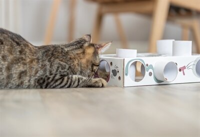 Trixie Cat Activity Paws&#039;n&#039;treats Box Karton 35X20X7 CM