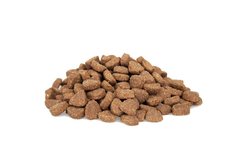 Premium Kat Large (XL) - 2 kg Premium Kat Large (XL) - 2 kg