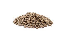 Premium Kat Senior - 2 kg Premium Kat Senior - 2 kg